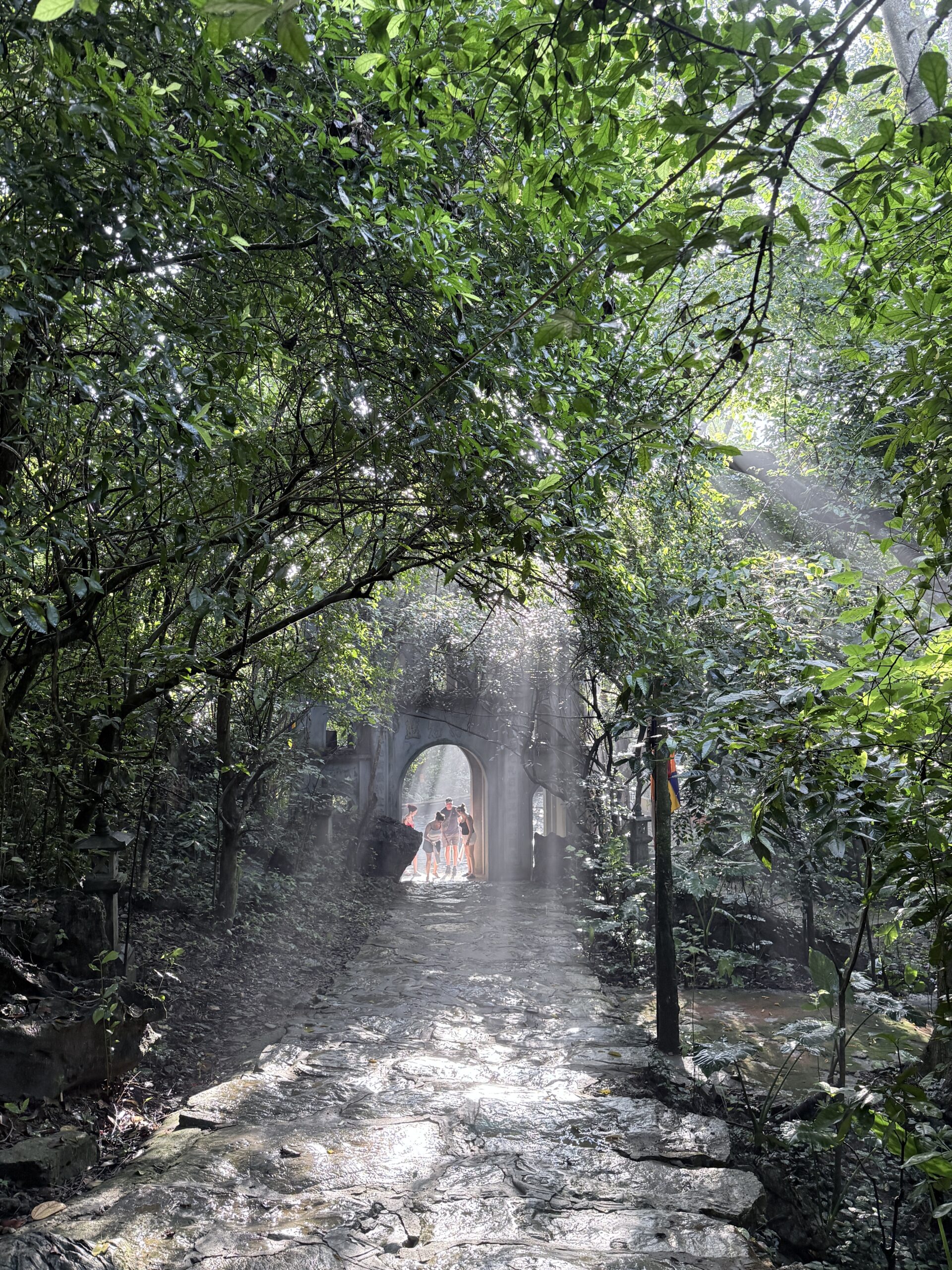Cuc Phuong National Park – Private Day Tour