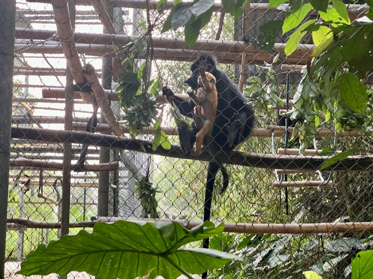 Cuc Phuong National Park – Private Day Tour